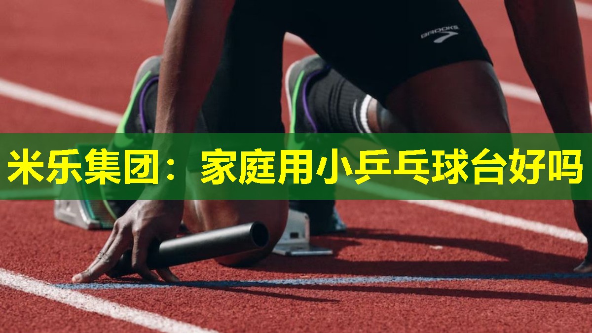 家庭用小乒乓球台好吗