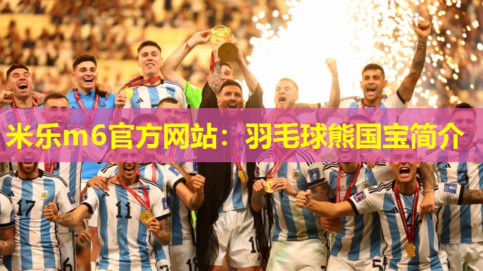 羽毛球熊国宝简介