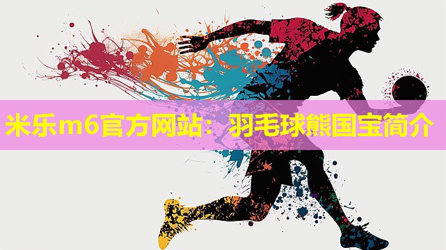 羽毛球熊国宝简介